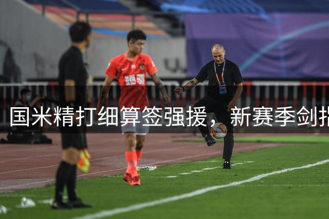 国米精打细算签强援，新赛季剑指双冠王