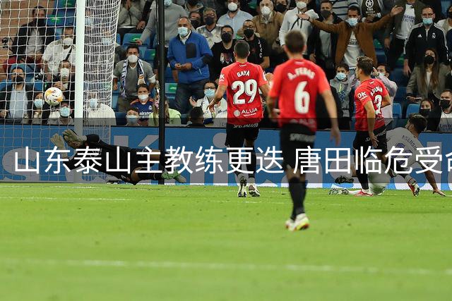山东泰山主教练更迭 唐田临危受命执掌帅印